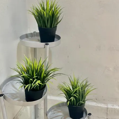 4you אכסניה ליסבון